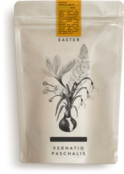 Verniato Paschalis (Filter)