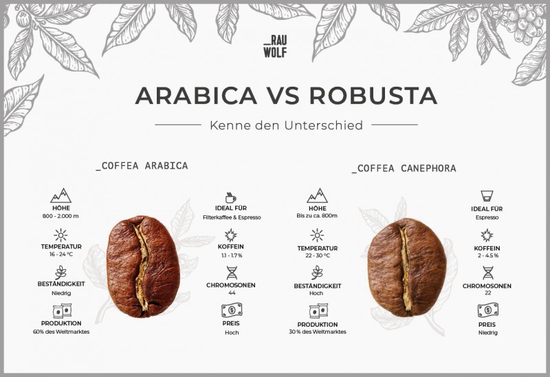 eigenschaften von arabica und robusta